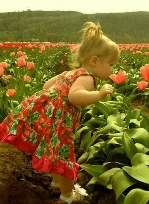 aras017993's tweet image. Demişler ki;
"Malı mülkü değil,
kaşı gözü değil,
hırkası heybesi de değil,
merhametidir, bir insanı güzelleştiren."
Günaydın Mutlu Sabahlar☕️💜