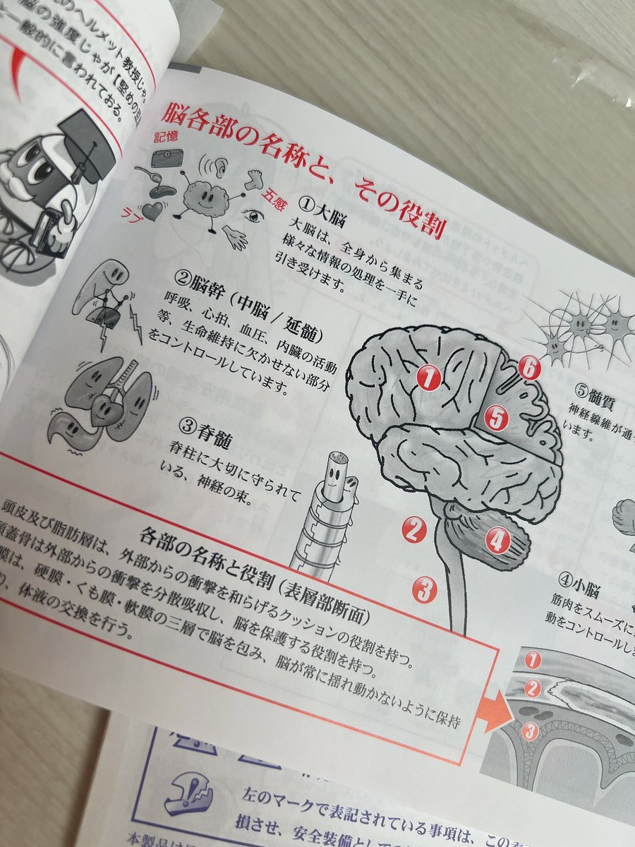 説明書が脳みその説明でびっくり😧 https://t.co/B1xphu0p5U