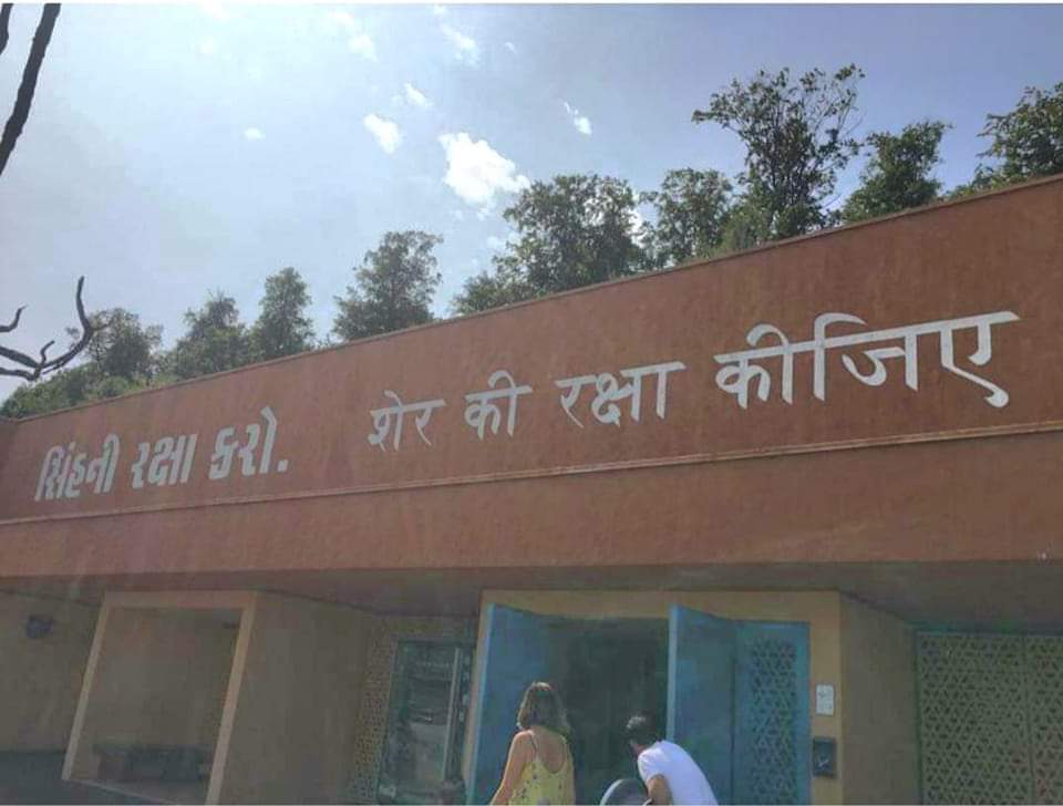 गुजरात सरकार ने भारत सरकार के माध्यम से स्विट्जरलैंड के ज्युरिक जु को गिर के जंगलों से एशियाटिक शेरों का एक जोड़ा दिया है 

शेरनी का नाम लक्ष्मी और शेर का नाम राजा है 

और स्विट्जरलैंड सरकार ने भारत और गुजरात का सम्मान करते हुए उस शेर के बाड़ के बाहर हिंदी गुजराती और स्विस  भाषा