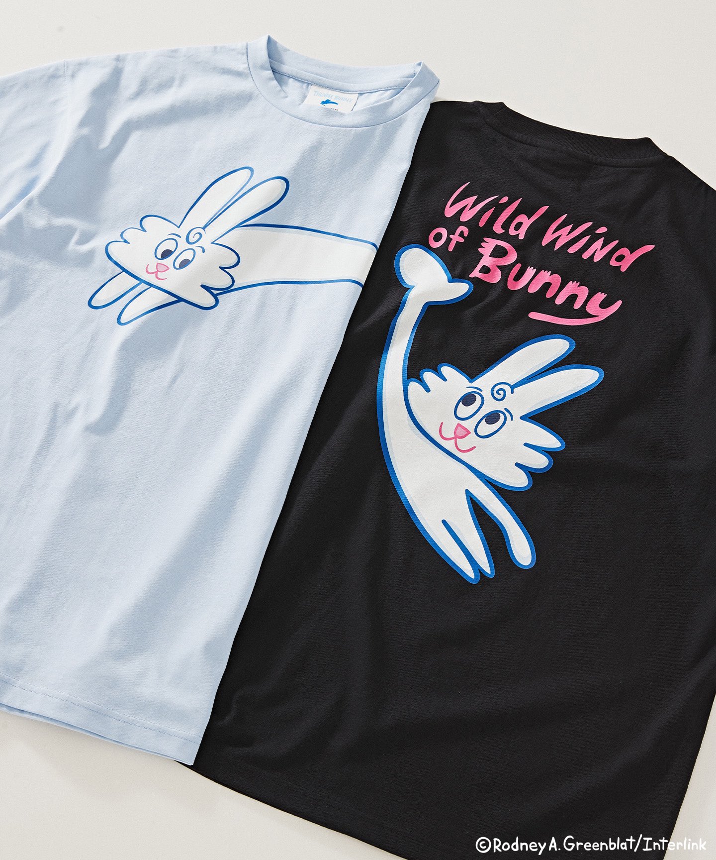 Thunder Bunny Sky (@ThunderBunnySky) / X Thunder Bunny Sky (@ThunderBunnySky) / X
