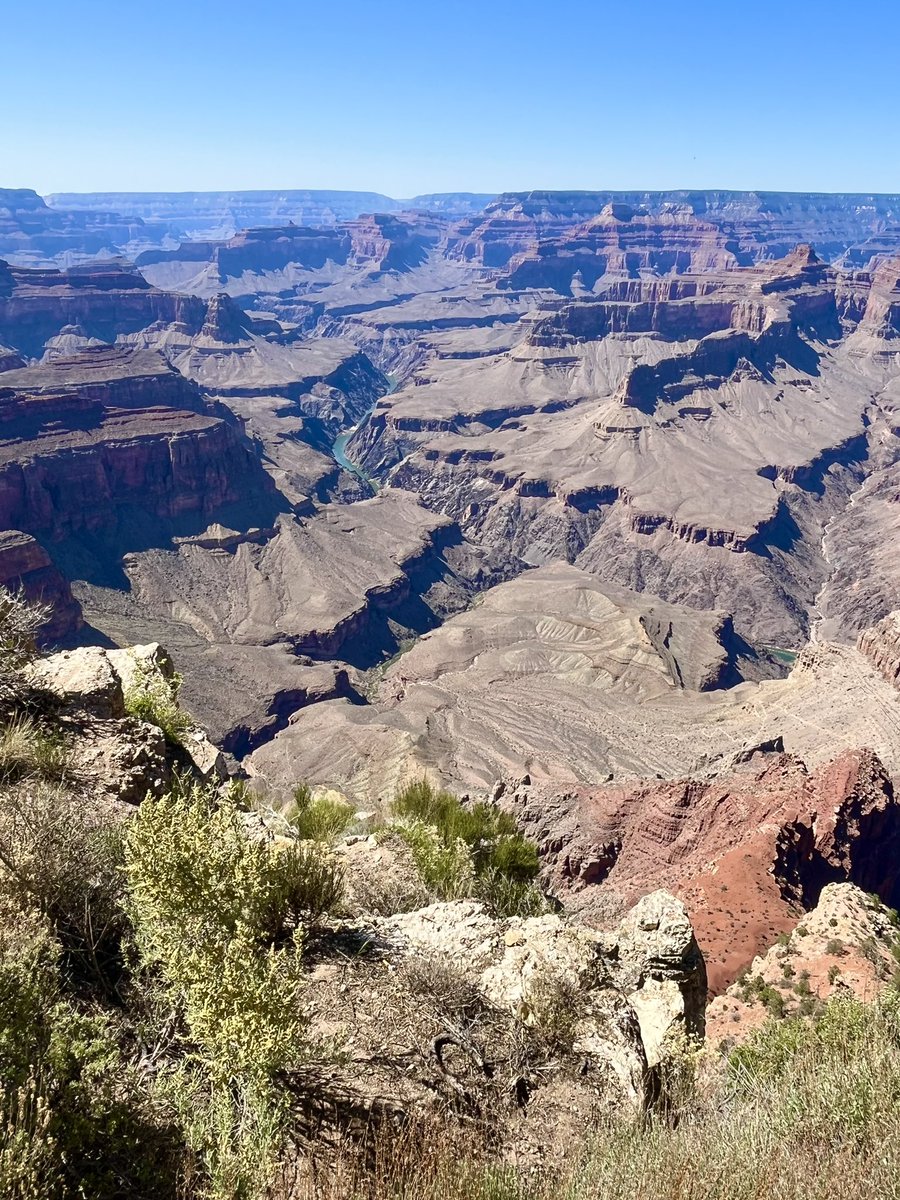 Rachel Smith-Bolton tweet media