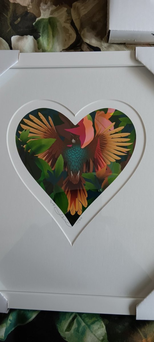 thekiwicanary's tweet photo. Framed FLOX prints arrived from Auckland today. These are going to be hung up on the wall of the stairs.
Eventually, we hope to have a one metre round of a Tui above our bed. But that's a $4k purchase for another day - when we have saved up for it. #NZArt #Flox https://t.co/RSeLd527yp