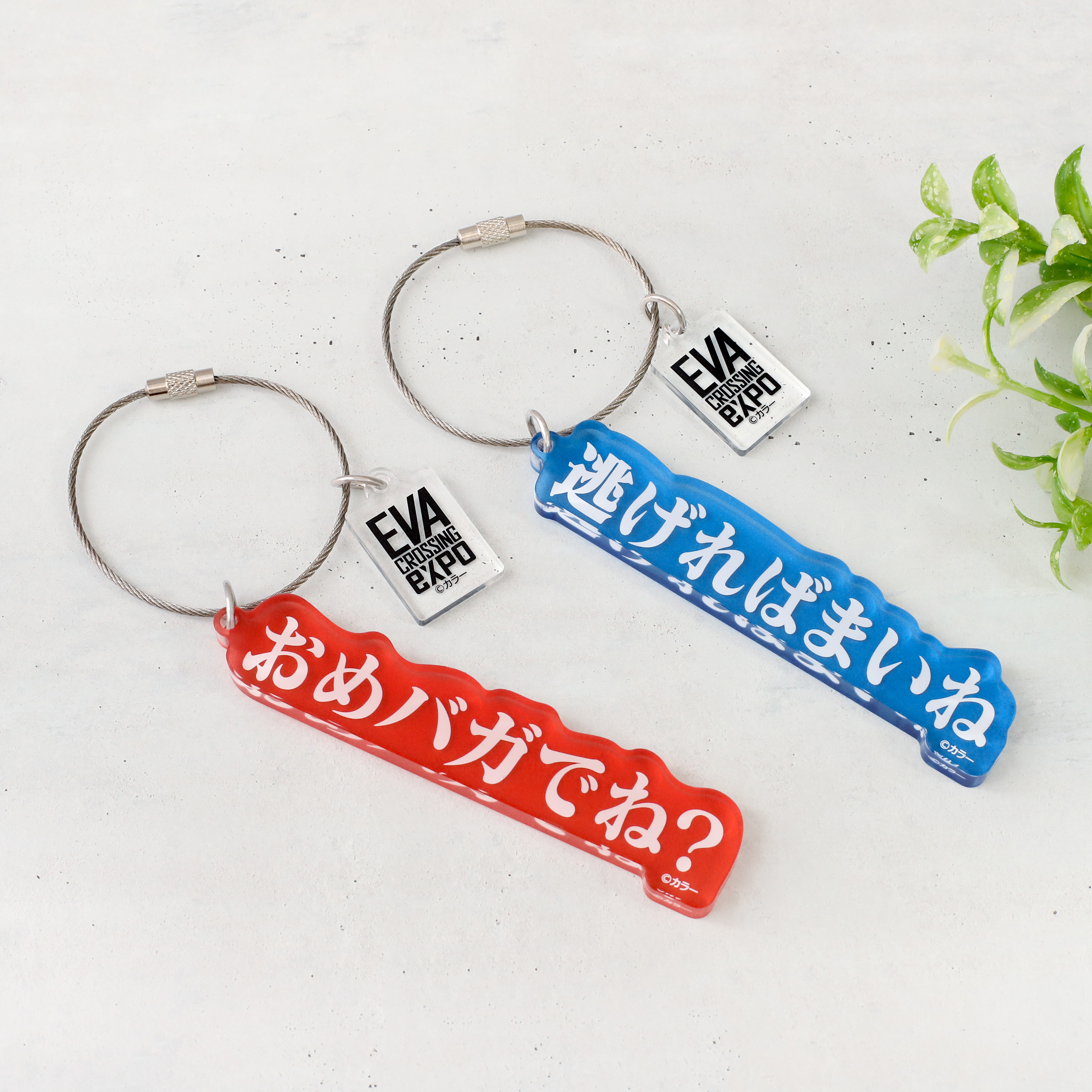 エヴァ博【公式】 2025年夏に鹿児島で開催予定! on X: エヴァ博【公式】 2025年夏に鹿児島で開催予定! on X: