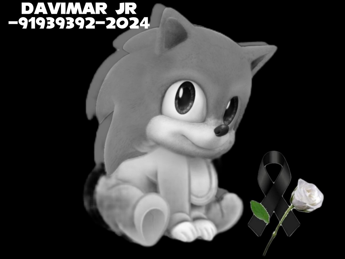 ovinhonanet's tweet image. Olá davimeiros chegou a notícia que ninguém queria dar Davimar Jr acaba de virar estrelinha infelizmente é o fim... Obrigado a todos que acompanharam nosso jovem herói que descance em paz.
