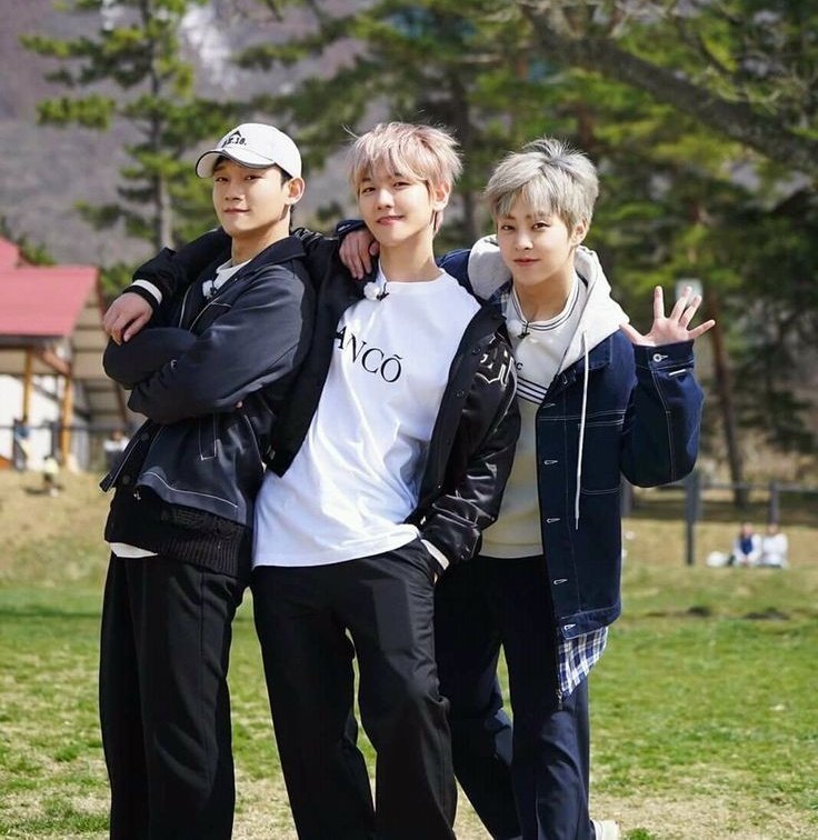 puppiesbreads's tweet photo. WE STAND WITH CBX ❤️💙💚

#WeStandWithCBX 
#WeStandWithChen
#WeStandWithBaekhyun
#WeStandWithXiumin https://t.co/ckXx3KvvoQ