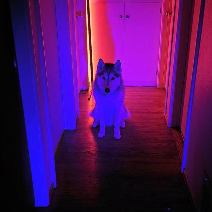 Ojutai is helping us setup for our M3GAN shoot. https://t.co/YTgsTESikX