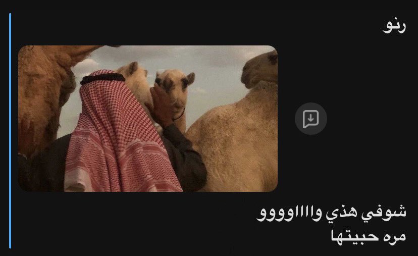 dbie_c's tweet photo. أحبّ المُشاركة من هذا النوع🤎 https://t.co/actBwSF4SR