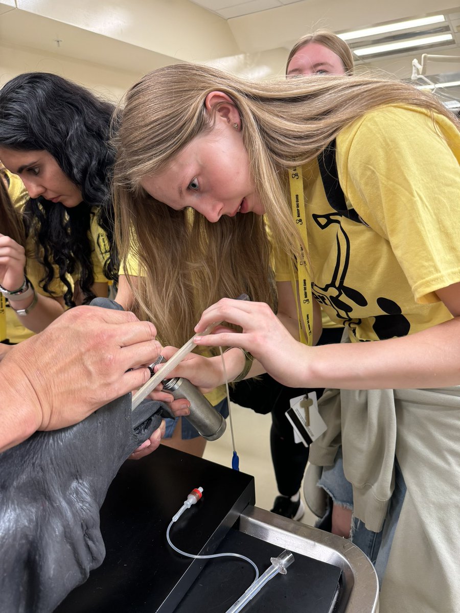 BoilerVetCamp's tweet photo. #TeamCash💰campers got to experience intubating canine and feline “patients” yesterday, as well as learn how to monitor patients under anesthesia! 🫁

#lifeatpurdue #boilervetcamp #pucvm #boilerup https://t.co/IJ0KcSpECj