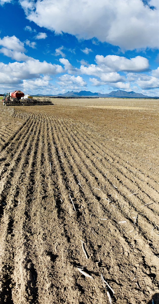 2024 Crop Program done ✅ No duals needed! #fendt #latebreak <a href="/paper_collar/">Marcus Sounness 🐑☘️🌾</a> <a href="/ipaddockapps/">iMc Fels 📲🌾</a> <a href="/LQSystems/">Liquid Systems (SA)</a> <a href="/babart1977/">Bruce Bartlett</a> <a href="/HKAgService/">Hannes Kohler</a> <a href="/Farmscan/">Farmscan Pty Ltd</a> <a href="/NSPNR1/">NSPNR</a>