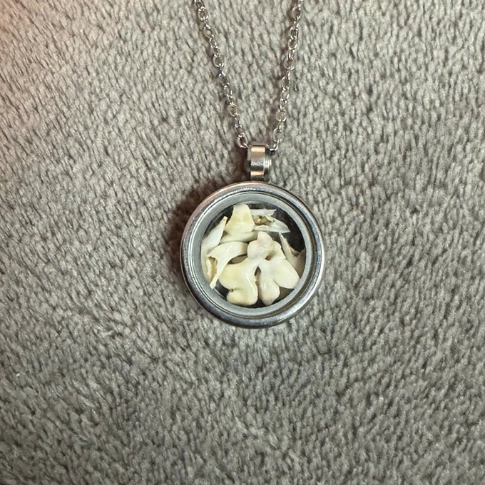 Little Teeth Locket 🖤🦷 https://t.co/i6FPmpLXi0<a href="/tag/newprofilepic"class="tags"><span>#newprofilepic</span></a>