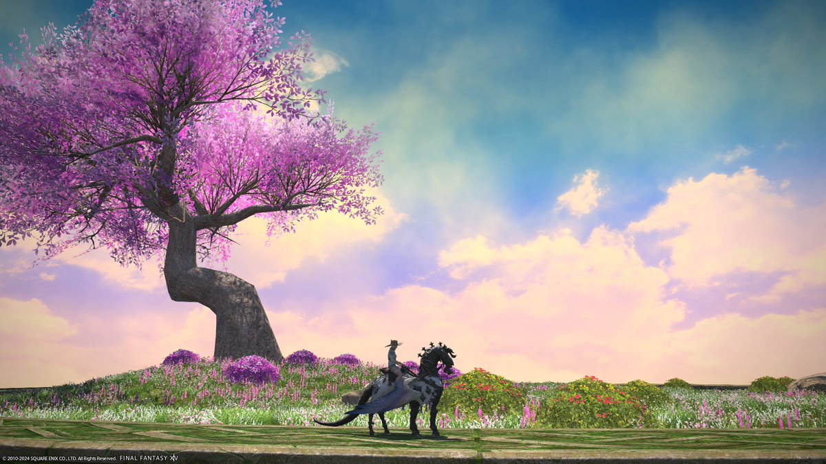 PomFFxiv's tweet image. 10am Eorzea time in Elpis #ffixv #ffxivscreenshot