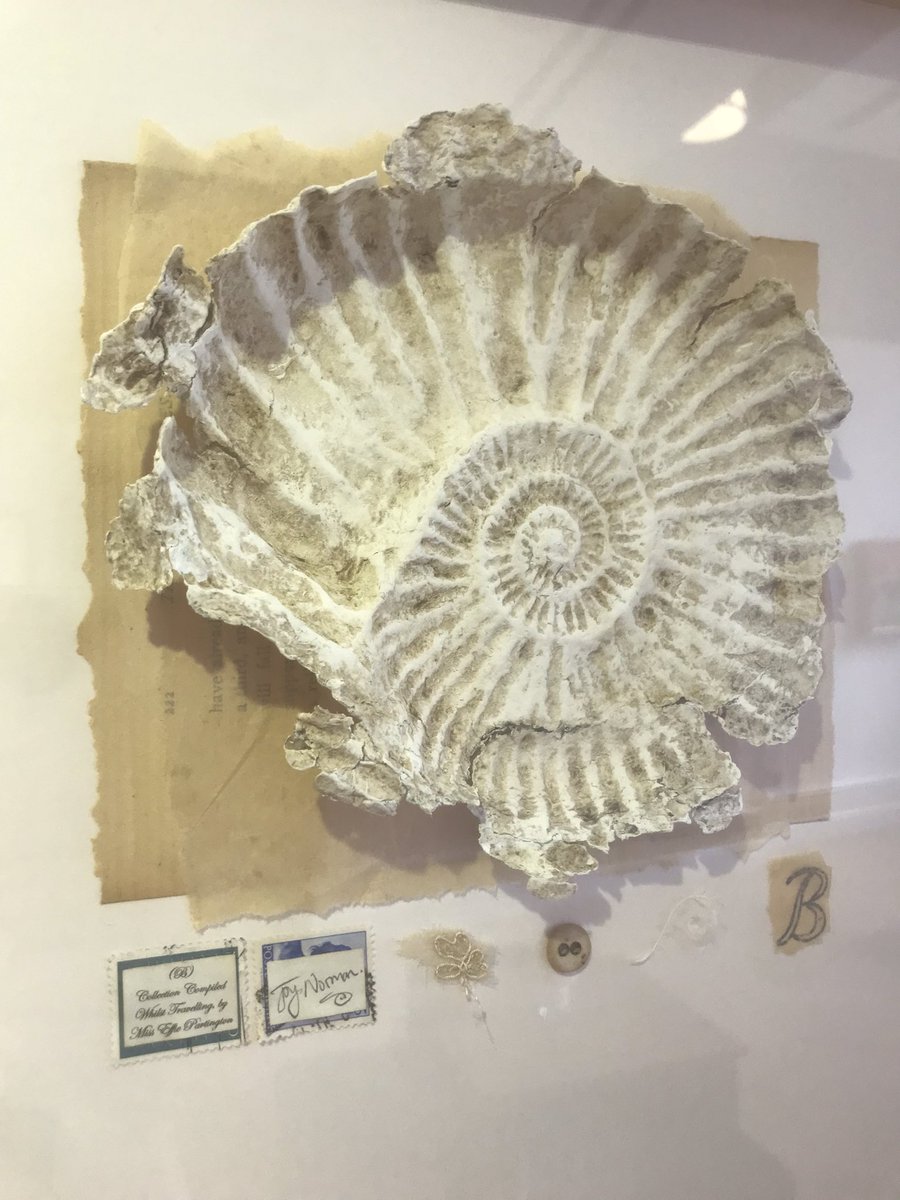 sock gallery tweet media