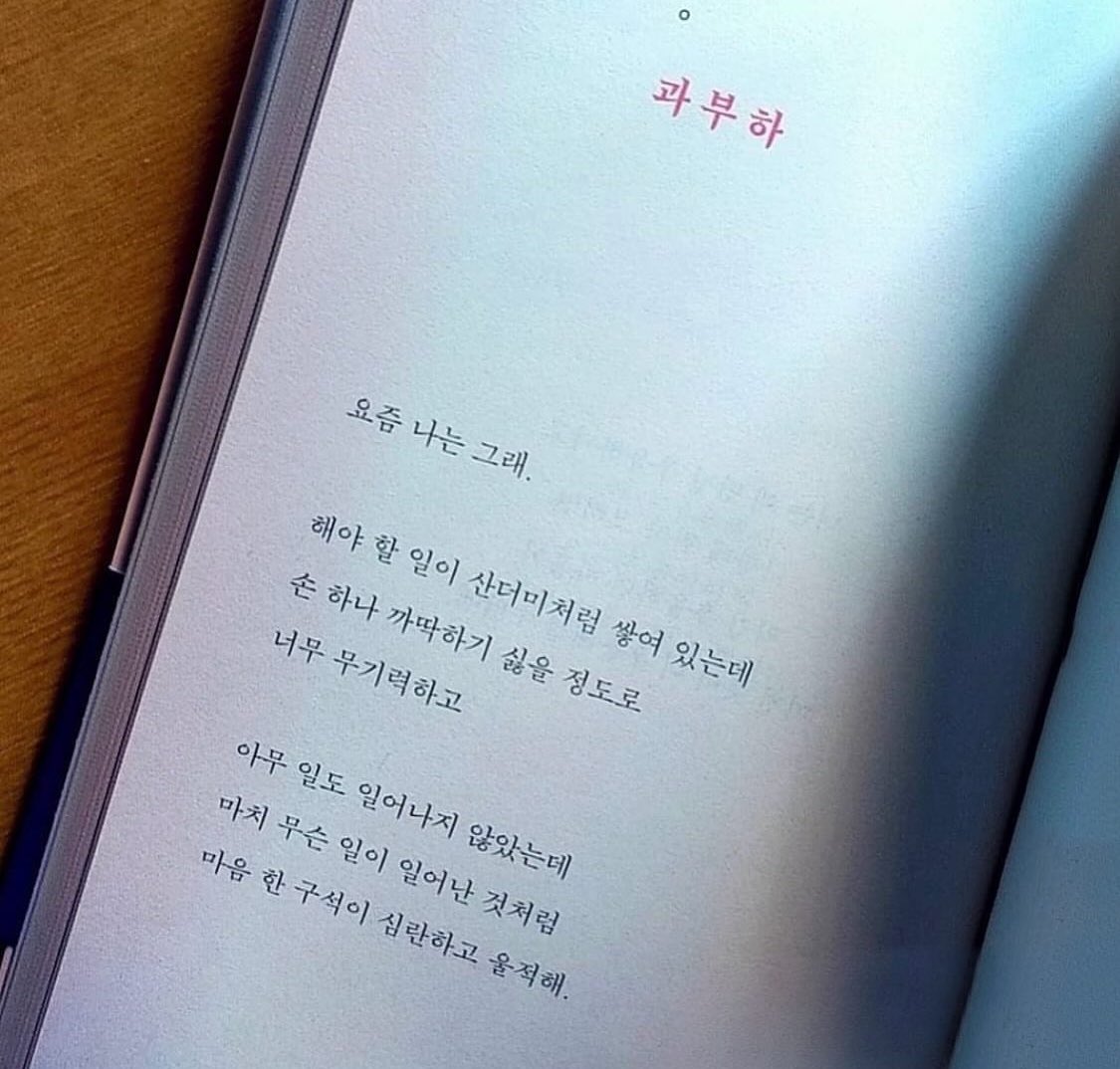 iamkimbunny's tweet photo. 너무 바쁜데 아무것도 하기 싫다. https://t.co/qVSWkT7Am7