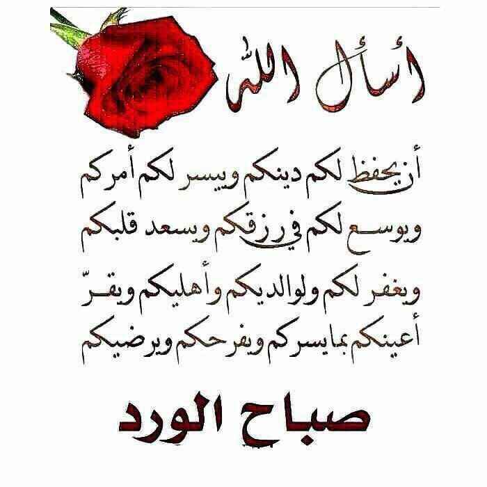 Elsa3idSak94664's tweet photo. @NSeae1wNDSMOiFa صباح الفل https://t.co/Zw3YrIZBtw