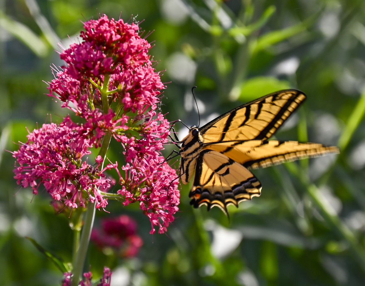 John Leyba 📸 tweet media