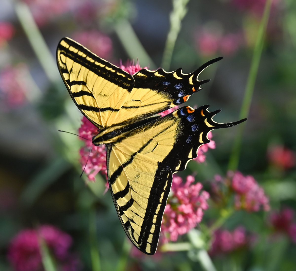 John Leyba 📸 tweet media