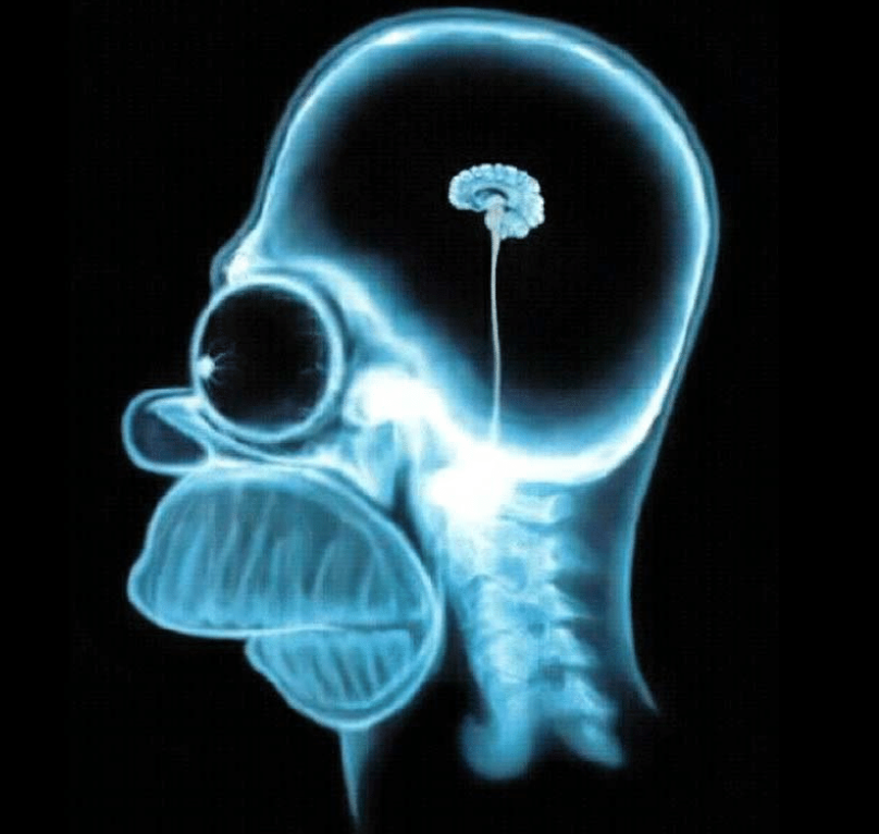 Pepiamin Pincu tweet media