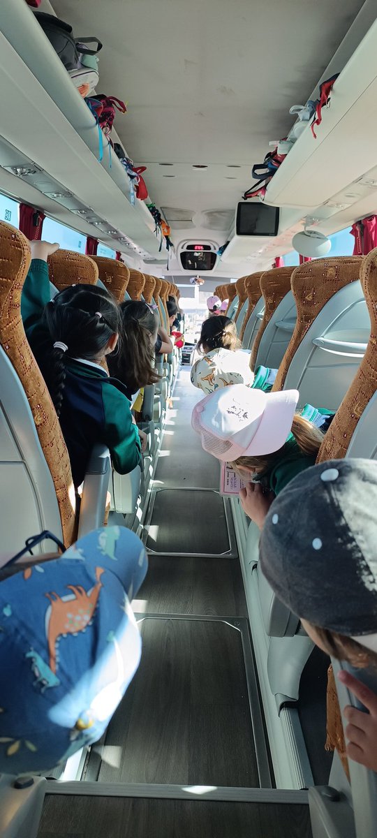 Macarena tweet media