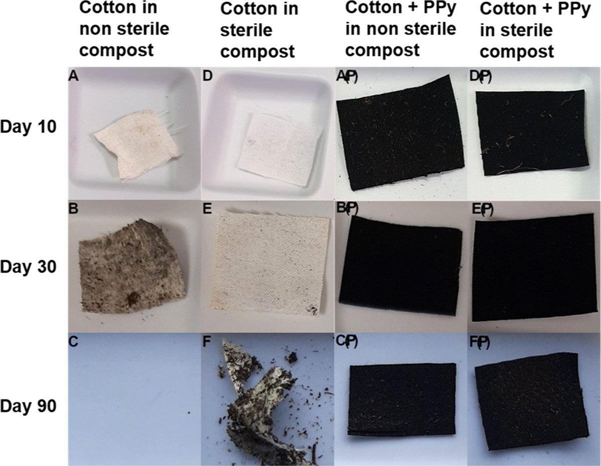 Alessio Varesano (@avaresanocnr) on Twitter photo Behavior of polypyrrole-coated cotton fabric undergoing biodegradation in compost-enriched soil doi.org/10.1088/2515-7… via <a href="/IOPenvironment/">IOP Environment</a> Behavior of polypyrrole-coated cotton fabric undergoing biodegradation in compost-enriched soil doi.org/10.1088/2515-7… via <a href="/IOPenvironment/">IOP Environment</a>