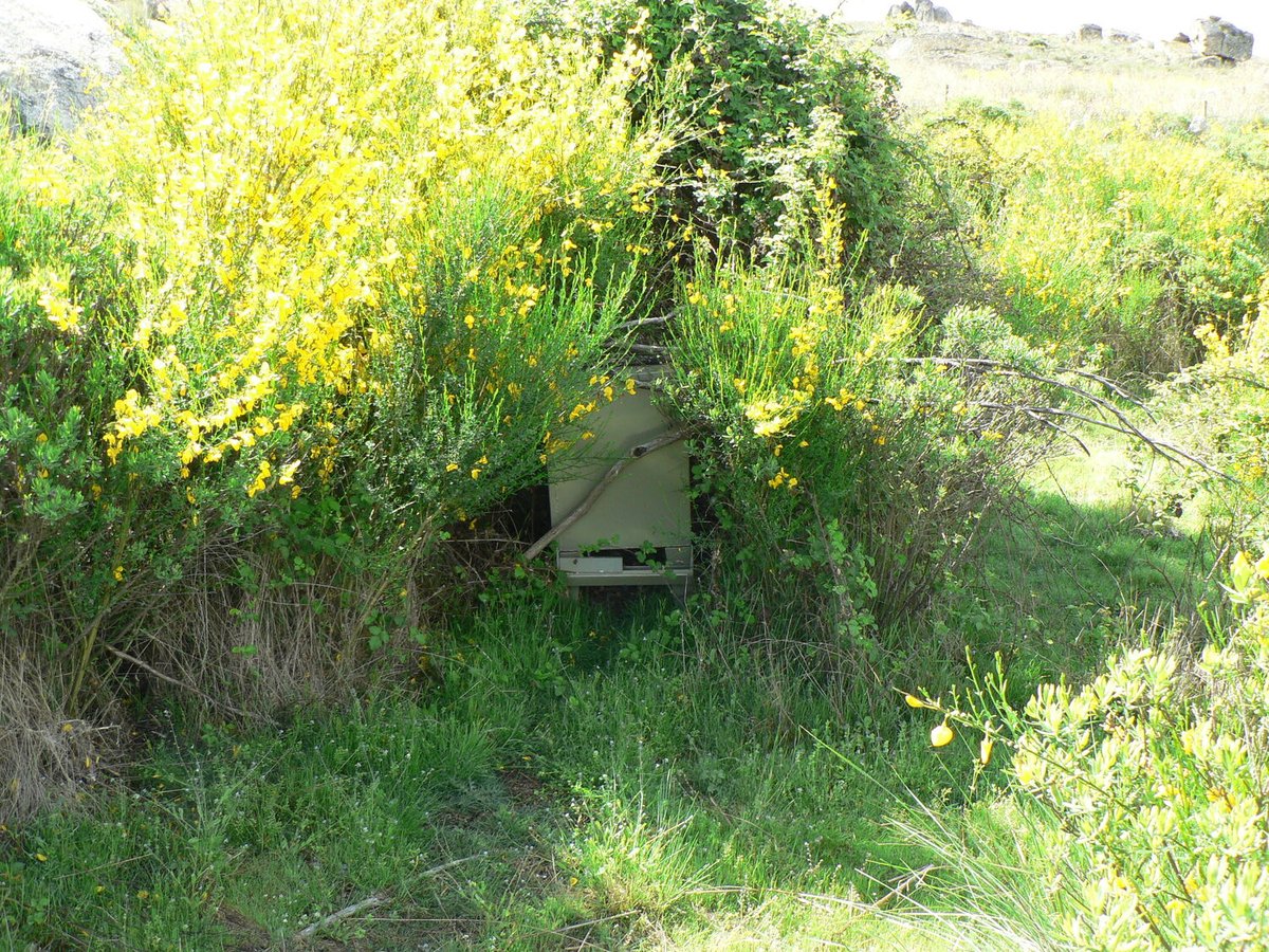 cienciaycaza tweet media