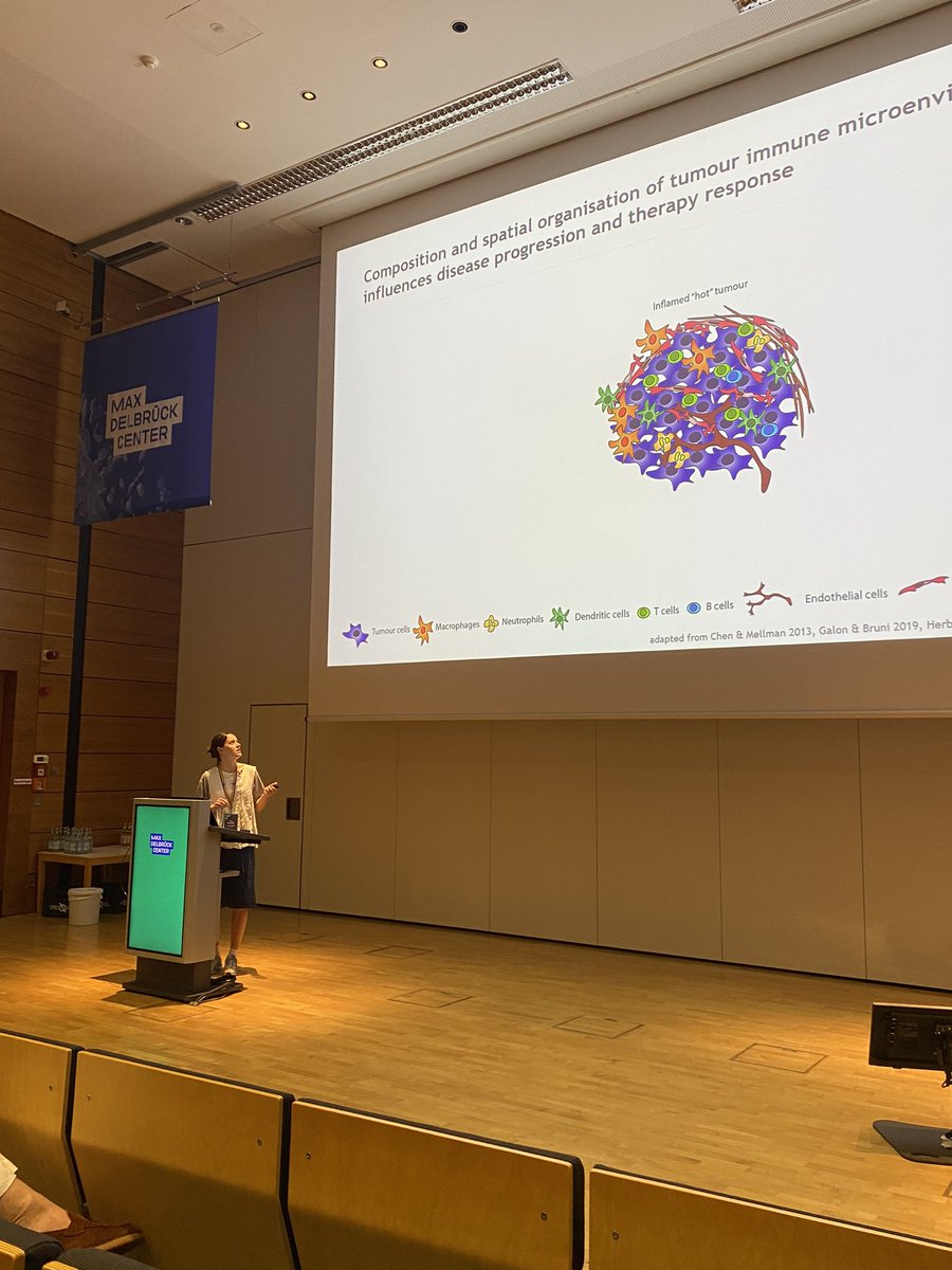 ipscconf's tweet image. Second day of #IPSCC2024 starts with a student session about tumor environment, starting with Zoe Ramsden from @TheCrick