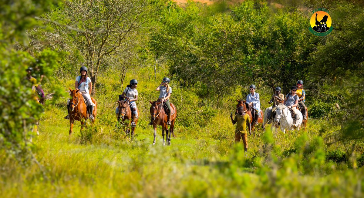 🌿🐎 Saddle up for an extraordinary adventure with Pamoja Tours and Travel! 🦓
Join us for an unforgettable journey!!

#PamojaToursAndTravel #HorsebackSafari #WildlifeAdventures #NatureLovers #TravelDiaries #ExploreTheWild #UnforgettableJourneys #AdventureAwaits