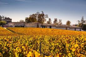 Our analysis of the Château Figeac 2023 release has been published. #EnPrimeur #Bdx23. 

Read the full pricing analysis now: hubs.li/Q02BGgjJ0