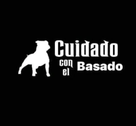 JorgSackboy's tweet photo. @OutOfContextMex https://t.co/pLBC1p2NXs