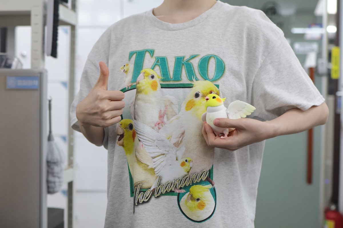 Flying Banana tweet media