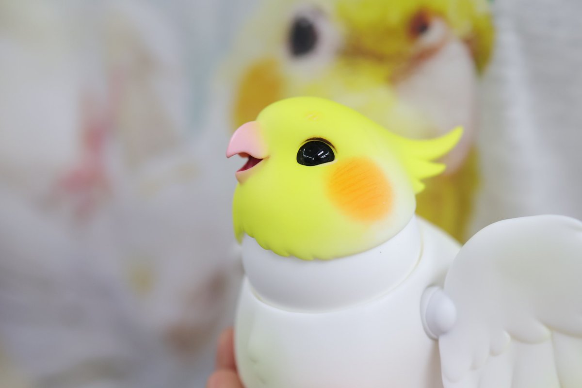 Flying Banana tweet media