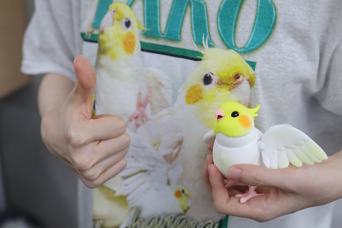 Flying Banana tweet media