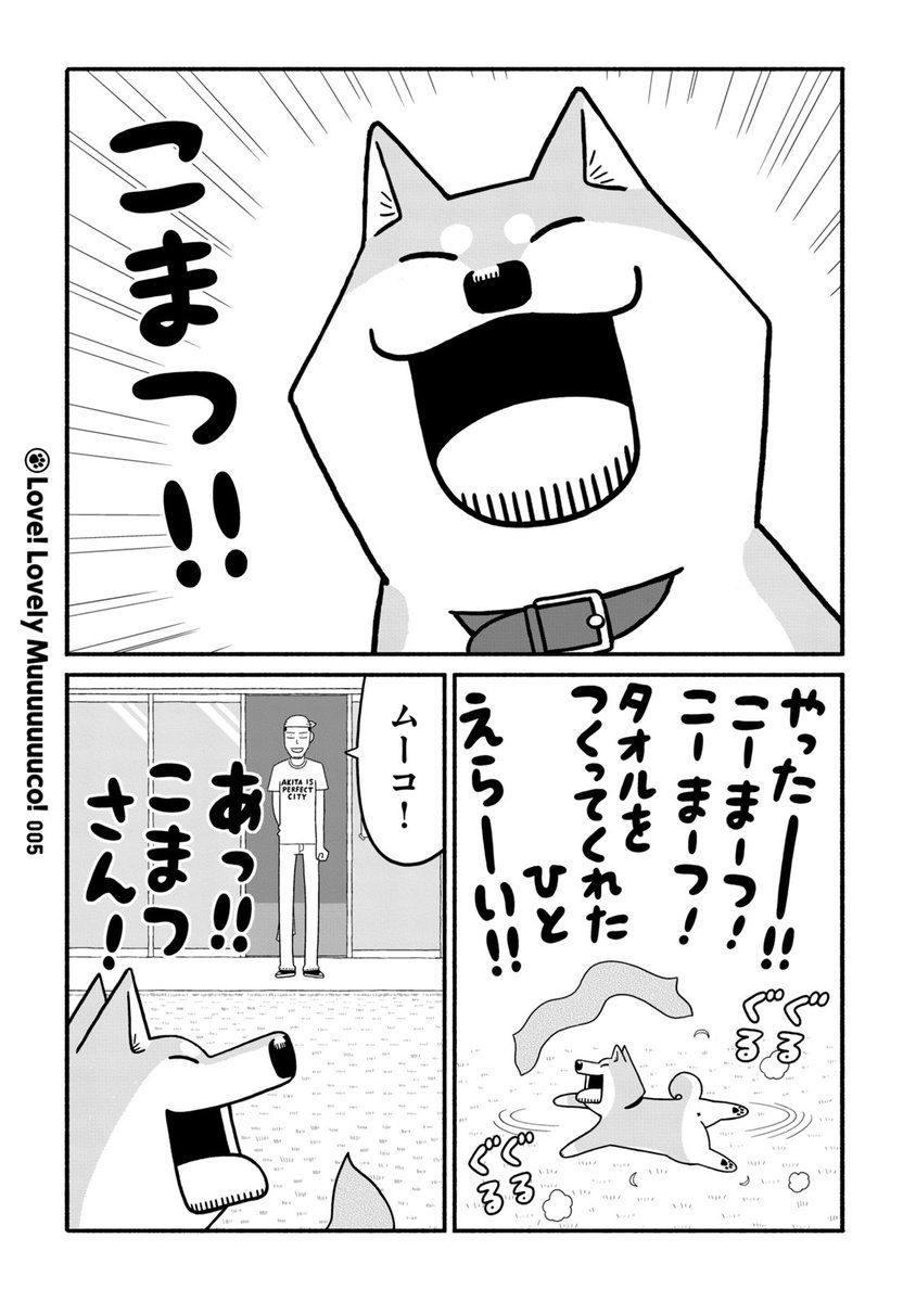(2/11) 