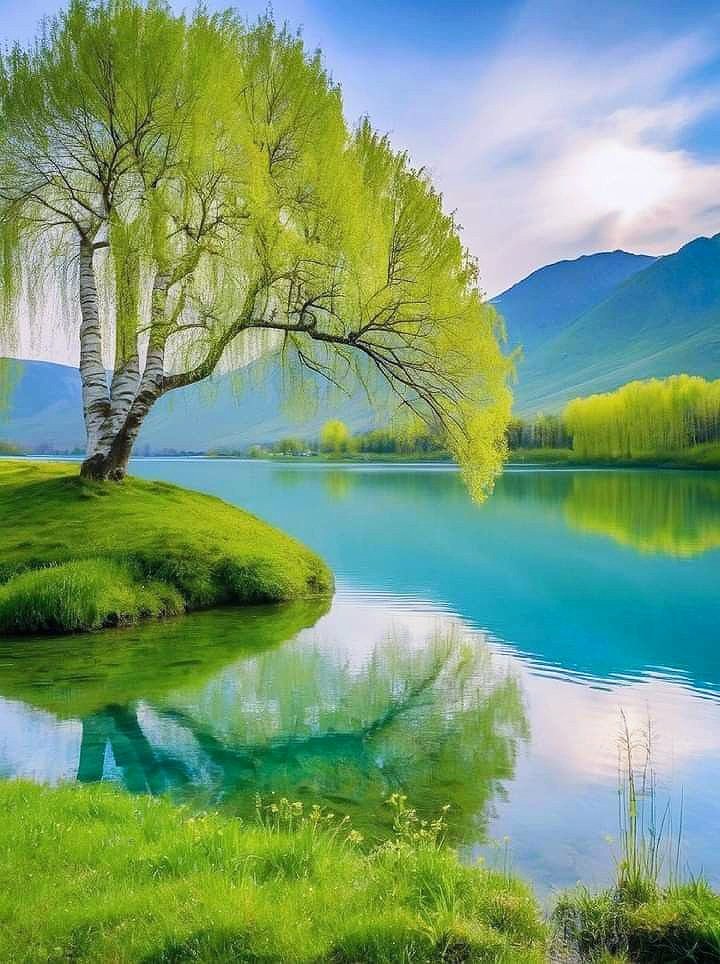 IC316's tweet photo. "Forever is composed of nows."

Have a peaceful day! 💚 https://t.co/fIHS86GzKF
