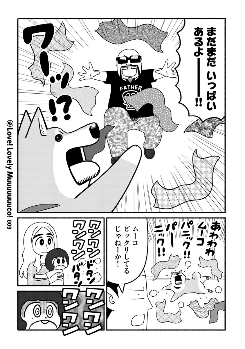 (3/11) 