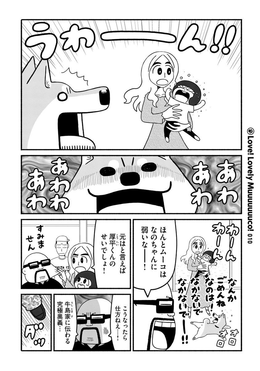(3/11) 