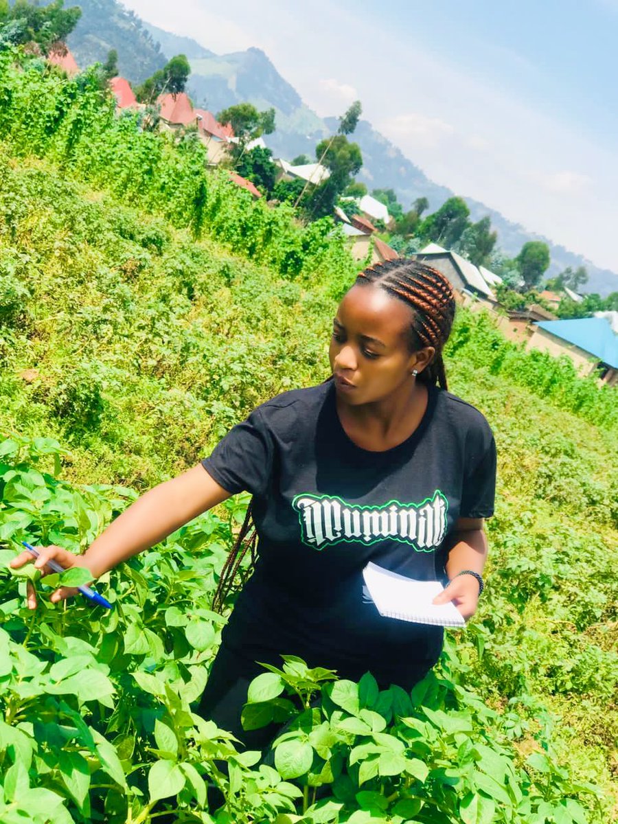 Ndayizeyetheon6's tweet image. Crop is a Teacher👨‍🏫 
Farm is a Classroom 🏛️
farmer is a student👨‍🏫
Farmers should interact with their crops on the farm , learning their daily crop performance for better yield.
Crop teach us :hope, Patience, hard work, and love.
Agree??
#KnowYourCrop
#AgExtension
#BetterYield