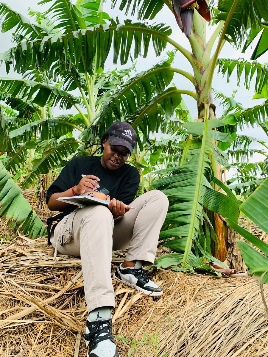 Ndayizeyetheon6's tweet image. Crop is a Teacher👨‍🏫 
Farm is a Classroom 🏛️
farmer is a student👨‍🏫
Farmers should interact with their crops on the farm , learning their daily crop performance for better yield.
Crop teach us :hope, Patience, hard work, and love.
Agree??
#KnowYourCrop
#AgExtension
#BetterYield