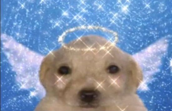 YESSTYLE REWARDS CODE: MFHNLZ + UVOUT2 = 20% OFF ☀️☀️