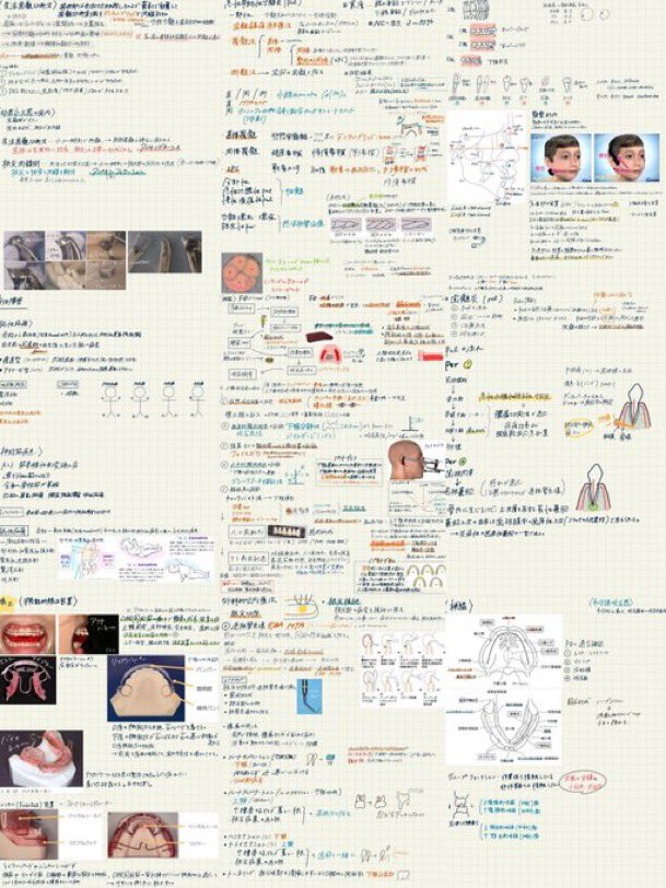 v7s_bc's tweet photo. 第 33回歯科衛生士国家試験合格した者です。
勉強していたまとめノート(goodnote)をPDFファイル📄にしましたので、第34回を受験されるDH学生さんにお譲りします。
保健指導、予防処置、臨床科目、衛生学、摂食・嚥下、基礎科目用意してあります。
添付した倍以上のページ数あります。 https://t.co/3EhDlaYMFa
