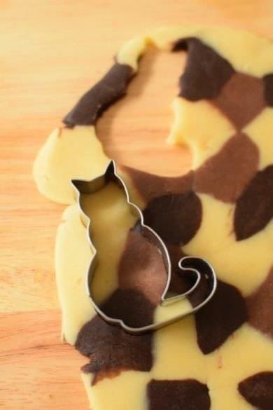 Why you should have a cat tweet media