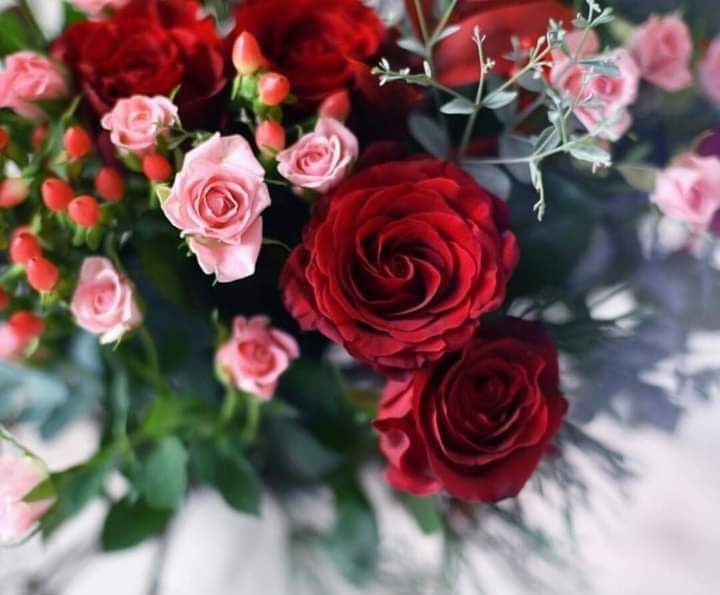 غلطی ہونے پر چھوڑ جانے والے بہت ملتے ہیں
لیکن غلطی ہونے پر، درگزر کر کے ساتھ نبھانے والے، بہت کم ہوتے ہیں۔

دعا ہے رب العالمین آپ کو <a href="/A_PVF8/">INnoceNt GiRl</a> آئندہ سال کعبتہ اللہ تعالیٰ اور روضہ رسول اللہﷺ 🫶 (حج) کا مسافر بنائے آمین
Happy Birthday🎊🎂🥳🎈🎉 
#HBD_InnocentGirl