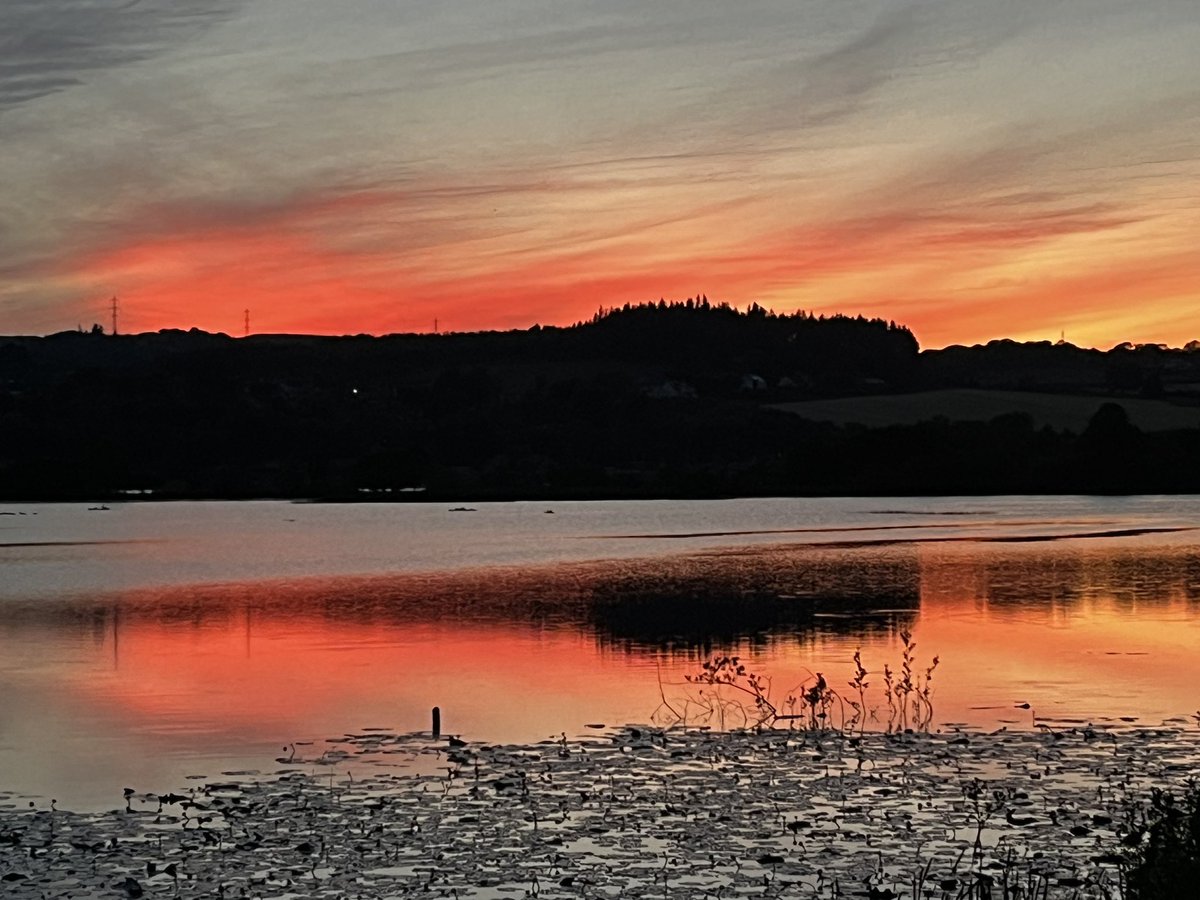 sandgrouse01's tweet photo. Working yesterday evening, but the light nights allowed enough time for me to go for a walk @RSPBLochwinnoch 

Amazing views of 3 otters at dusk last night on #castlesemple loch seen from boardwalk,  wonderful evening  chorus and fantastic sunset #otter #relaxing #lochwinnoch https://t.co/NNeqQWaJHk