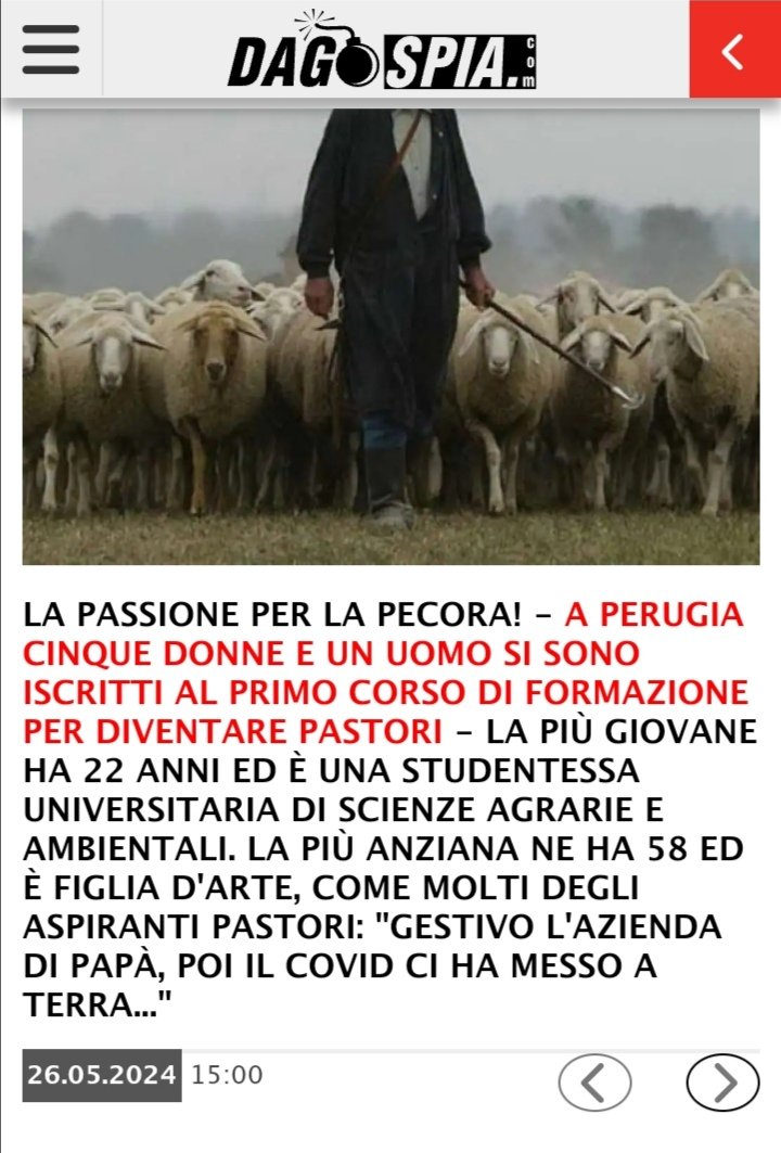 cordismei's tweet photo. #Desiderio 1277: "Il corso era aperto a uomini sotto i 35 anni e donne di qualsiasi età, di origine sarda dalla prima alla terza generazione residenti in #Umbria. e provenienti da famiglie di #pastori".

https://t.co/OKBxA9hjE0

#Buongiorno #13giugno #pastorizia https://t.co/xdW7Q7PPz2