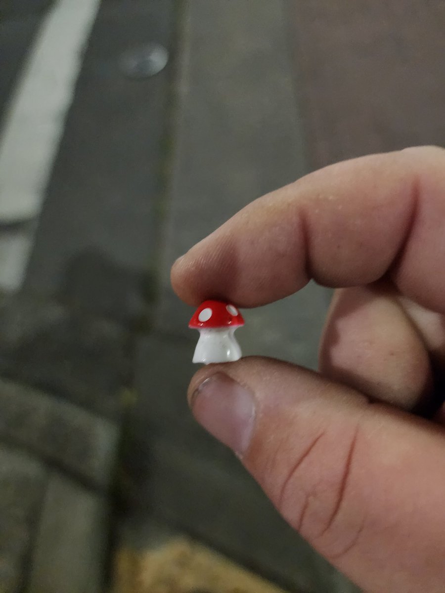 PorungaDBT's tweet photo. Working in Proctor, night walks pay off! If anyone knows the artist/hider please thank them for me. #shroomdrop #mushrooms https://t.co/JjThM09FL2