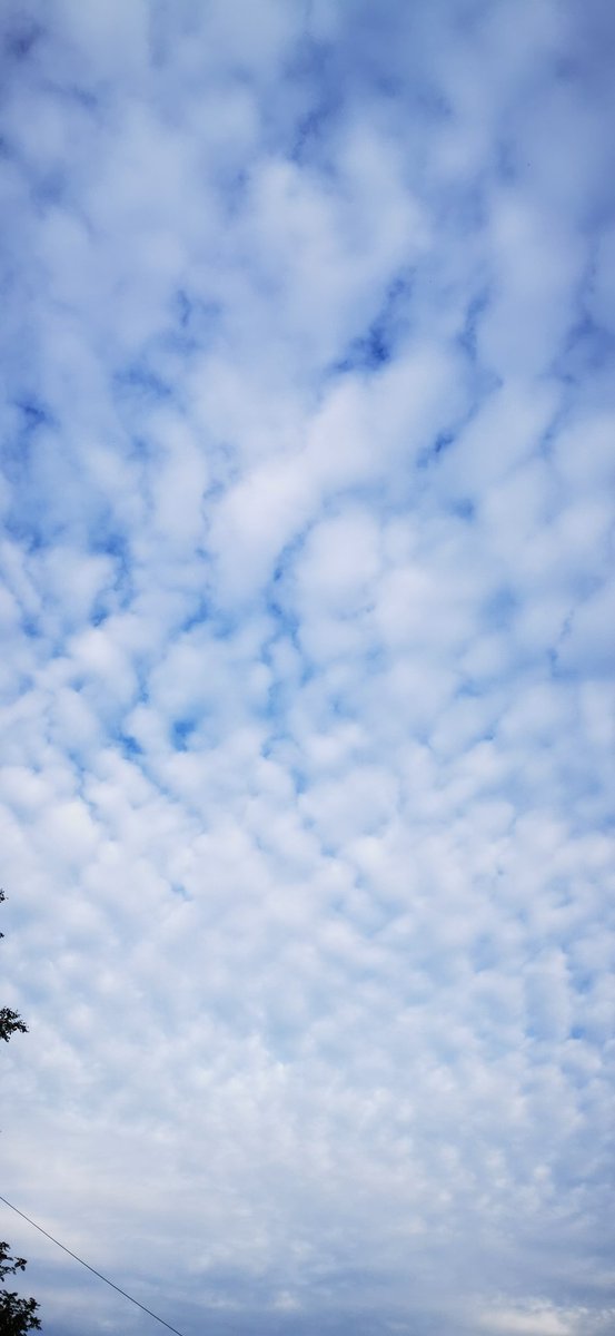 Another really cold June morning in Lancashire UK. A blanket of #chemtrails laid overnight with a visible haze of Chemsmog and a sprinkling of #HAARP These psychopaths never take a day off from their crimes #GeoEngineering the #ClimateScam committing #CrimesAgainstHumanity