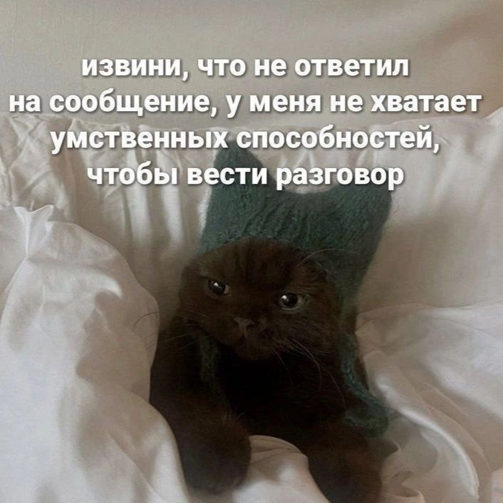 catsilcats's tweet photo. https://t.co/d4XtlqvAqp