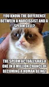 NARCToken's tweet image. The same applies between a Hamas terrorist and a sperm cell. #indoctrinated