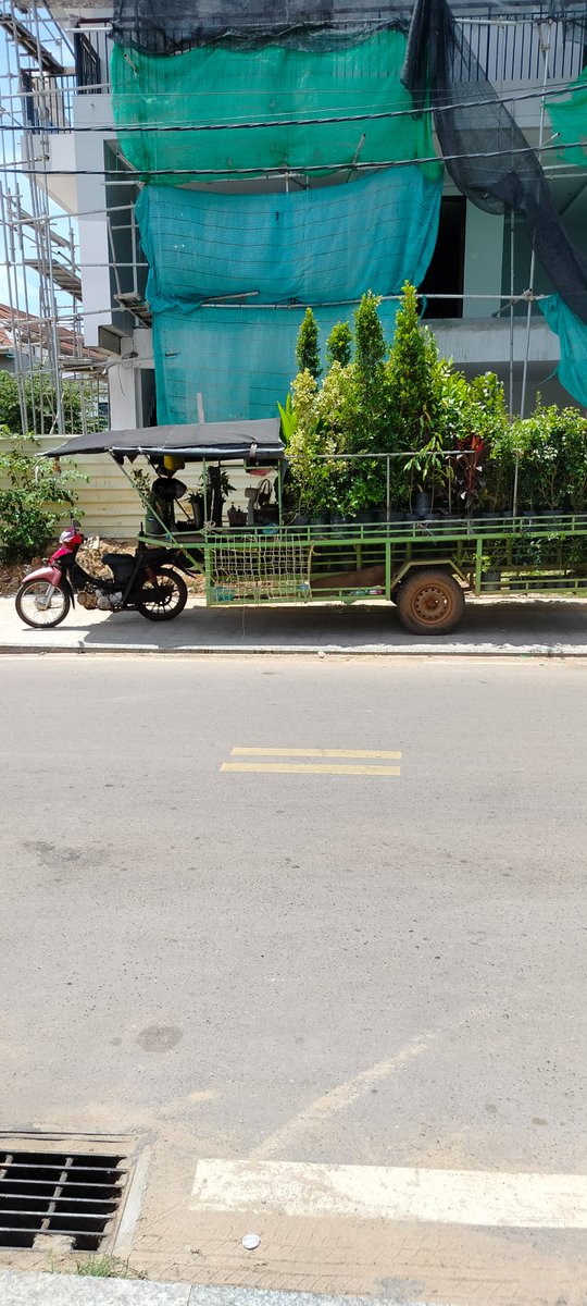TheHappyRetired's tweet photo. Mobile Plant Nursery comes to You!
Morning plant shopping in Siem Reap, Cambodia is a very unique and convenient experience. What do you think?
#mobileplantnursery #siemreap #cambodia #greenery #plants #motorcycle #thehappyretiredguy #GreenWheels #shopping https://t.co/SvwqkL1PwZ