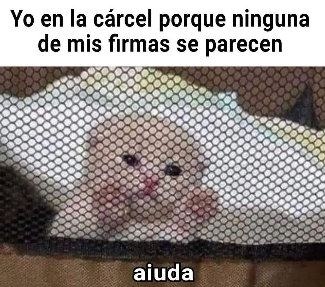 ymuchosmemes's tweet photo. https://t.co/AbtvJEPuYq