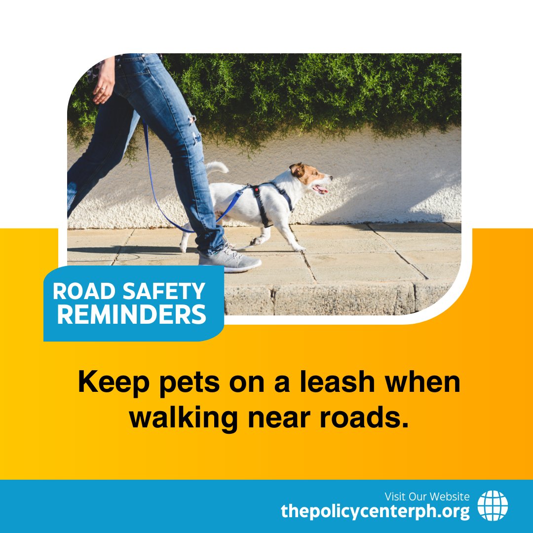PolicyCenterPH's tweet photo. Keep pets on a leash when walking near roads.

#mindfulmobility #roadsafety #RoadSafetyAwareness https://t.co/OFo17jYK1h